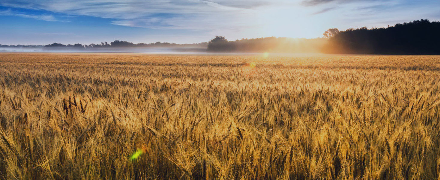 Agricultural products